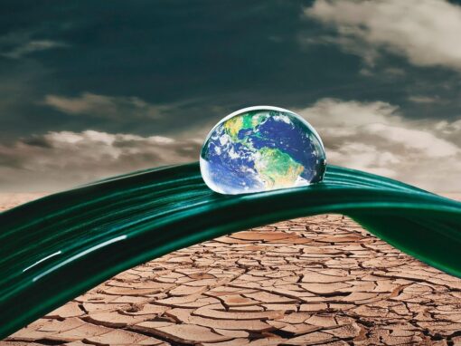 Cambiamento climatico